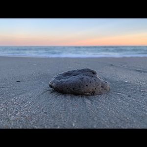 Meet your Posher, Sydney